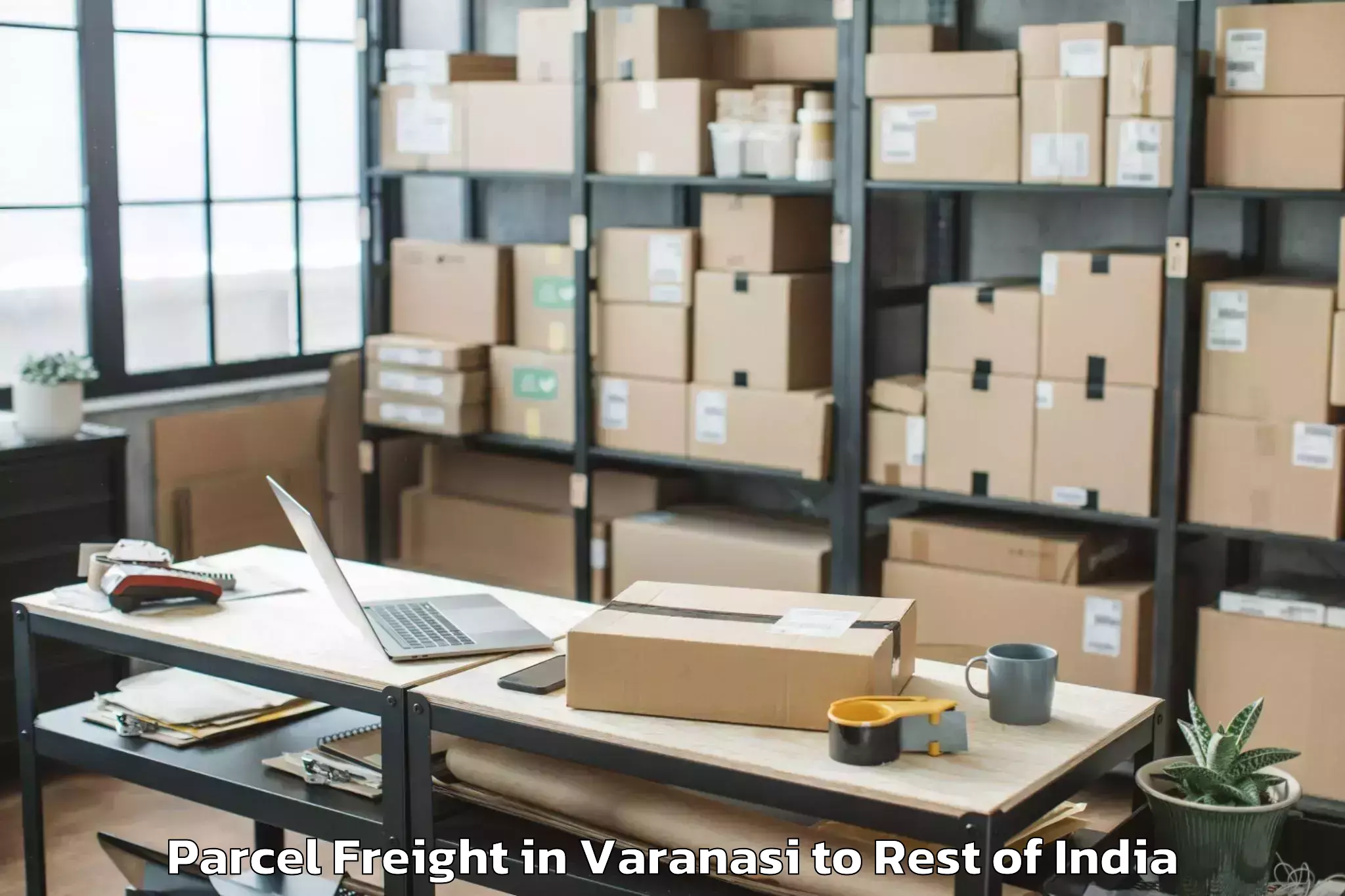 Book Varanasi to Makri Parcel Freight